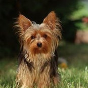 Kim Beidler's photo