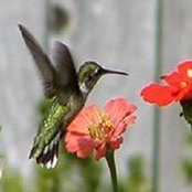Judy Samuel's photo