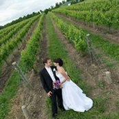 Michelle Scaffidi's photo