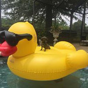 Brandon Yasses's photo