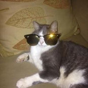 Nina Coleman's photo