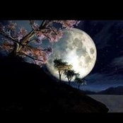 Carissa Sinclair's photo