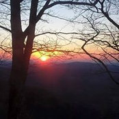 Sandy Sims's photo