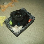 Fiona Cormie's photo