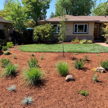 Carmichael front yard conversion