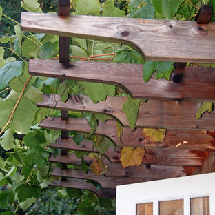 Grape Trellis | Houzz