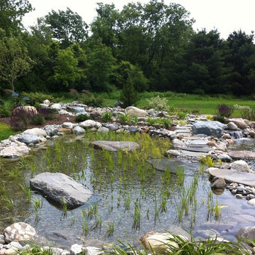 Charlotte Natural Swimming Pond