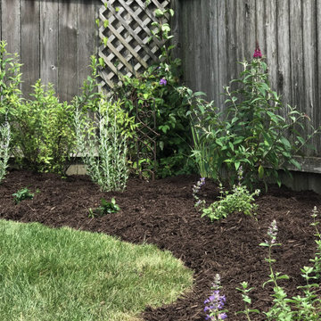 Pollinator Gardens