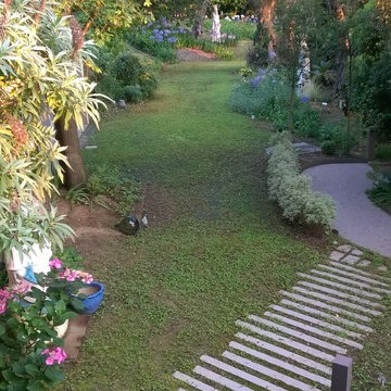 il giardino degli agapanthus