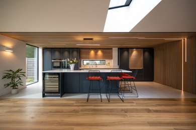 Photo of a contemporary kitchen in Hertfordshire.