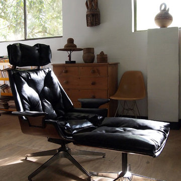 My Houzz: Midcentury Modern Artist Retreat