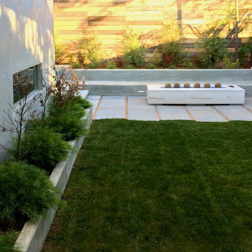 California Modern Backyard Patio
