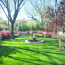 Dominique Backyard Landscaping