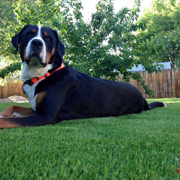 Global Syn-Turf artificial grass installation in San Francisco, CA 2