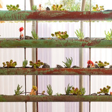 How to Grow a Green Thumb