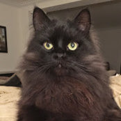 jolene smith's photo