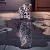 Andreia Pessi Da Luz's photo