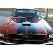 Chris Lohman's photo