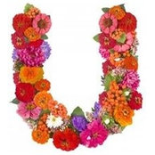 Ungara Accesorios's photo