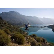 Altay Özcan's photo