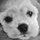 webuser_744937