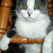 Deb Domek's photo