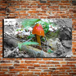 Digital printed canvas - Products