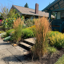 Front Garden 33DI