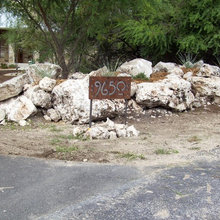 Landscape Ideas