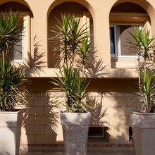 mohamed_ebeid5773150's Ideas