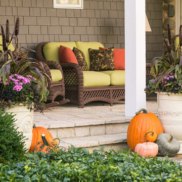 Fall Annuals