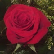 Shannon Sintic's photo