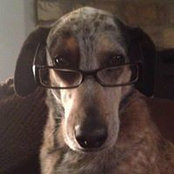 Sheri Smolcha's photo