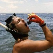 Mike Willis's photo