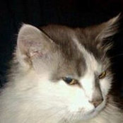 Beverly Bucklen's photo