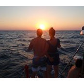 Steve Atwill's photo