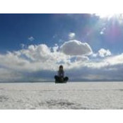 Ana Esteva's photo