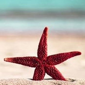 Margaret Capps's photo