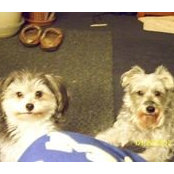 Ted N Lisa Janquarts foto