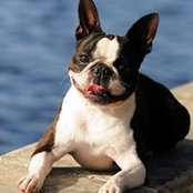 Chris Kemper's photo