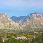 Mike Cutler's photo
