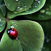 Cindy Brights foto