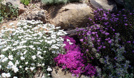 Jardines sostenibles: Por qué los jardines de roca son tendencia
