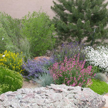 Schaffer Landscape