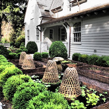 Backyard landscape and garden areas