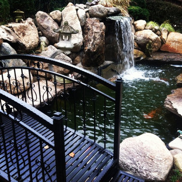 waterfall pond with bridge and turtle pond