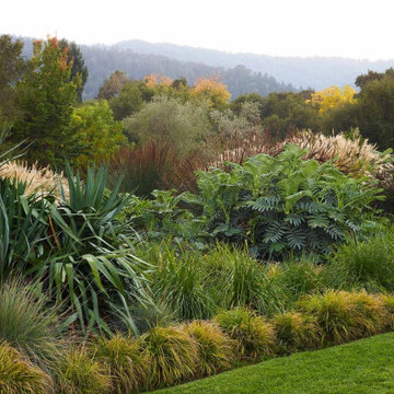 The Layered Border
