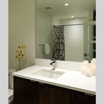 Basalt Contemporary - Remodel