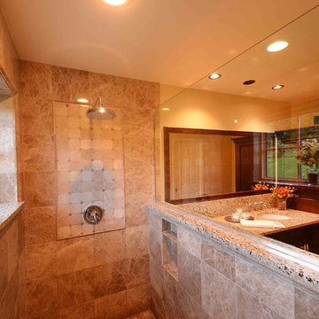 Master Bathroom Remodel