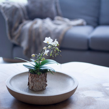Barn Lounge with Log Stack